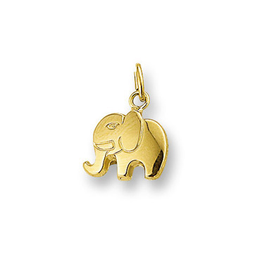 Huiscollectie 4006952 Gouden bedel olifant