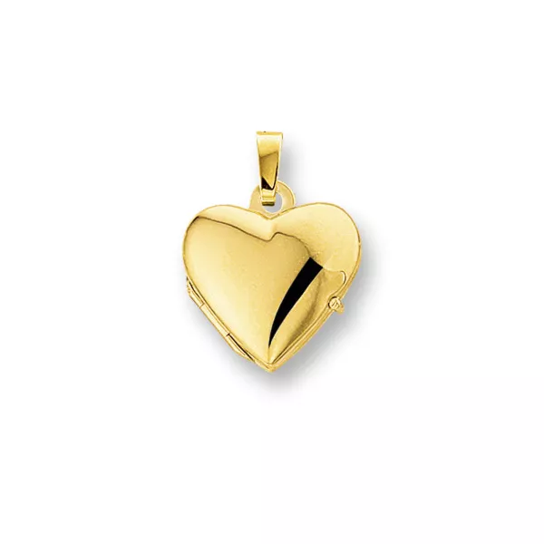 Gouden medaillon hart met ruimte voor 2 fotootjes. 12 mm