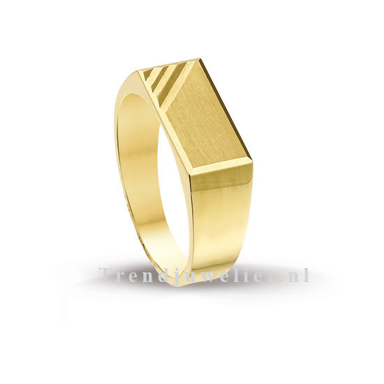 Fotoelektrisch Heer Fotoelektrisch Gouden heren ring - 4013001 | Trendjuwelier