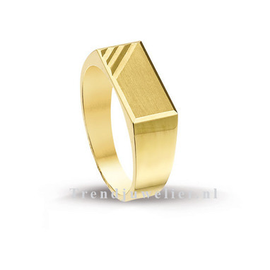 Huiscollectie 4013001 Gouden heren ring