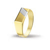 Huiscollectie 4204501 Bicolor gouden heren ring 1