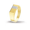 Huiscollectie 4204512 Bicolor gouden heren ring 1