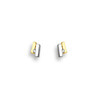 Huiscollectie 4011521 Bicolor gouden oorknoppen met diamant 0.04 crt 1