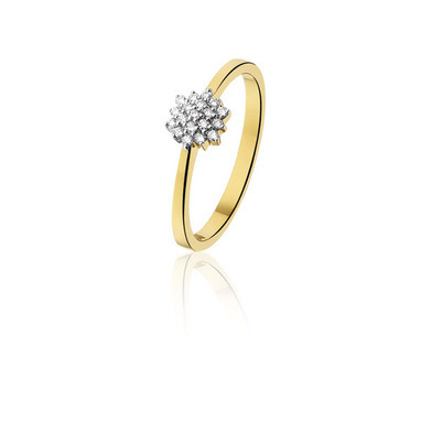 Huiscollectie 23-11-TR Gouden ring met diamant
