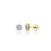 Huiscollectie 23-15-TR Gouden oorbellen met diamant 1