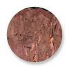 Mi Moneda Roca copper Roca copper munt 1