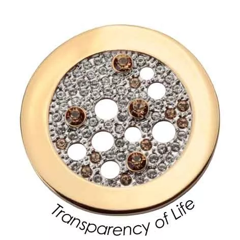 Quoins QMOA-19L-G Disc Transparancy of Life