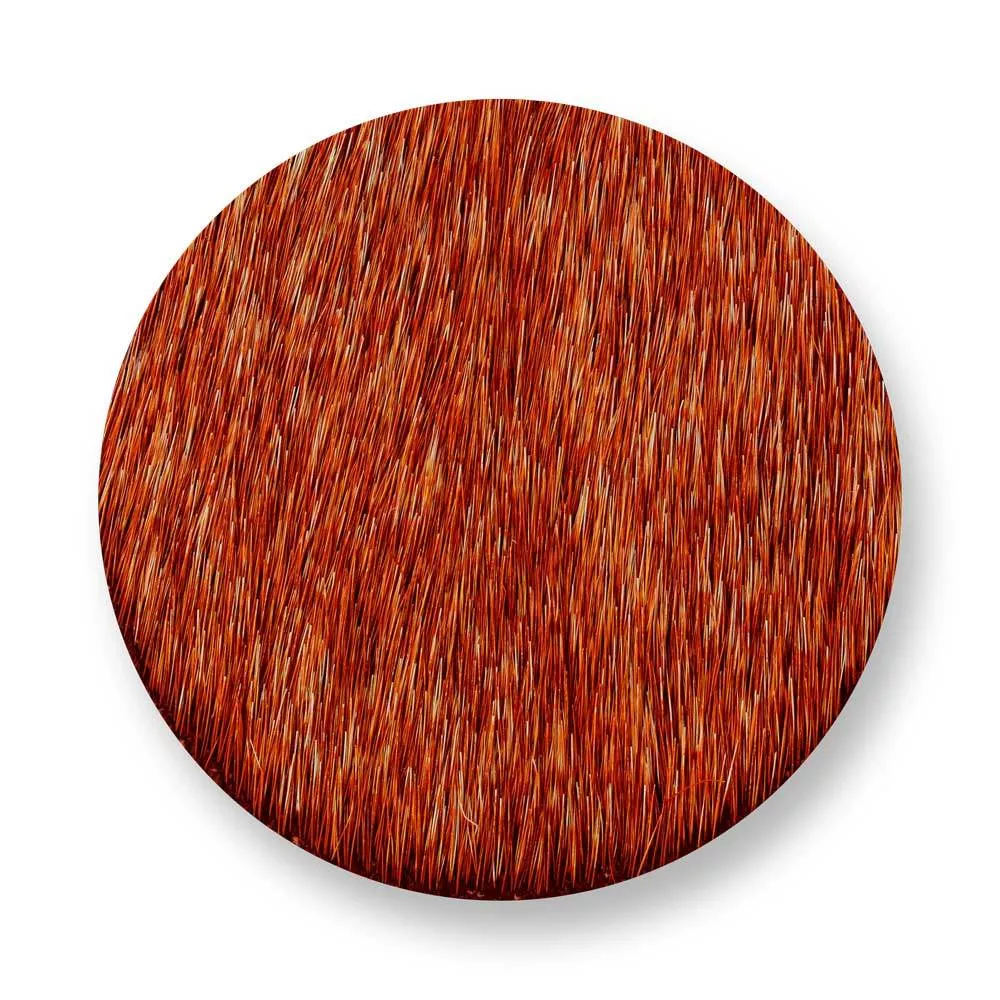 Mi Moneda MIM-12-43-M-L Mimoso leather orange munt