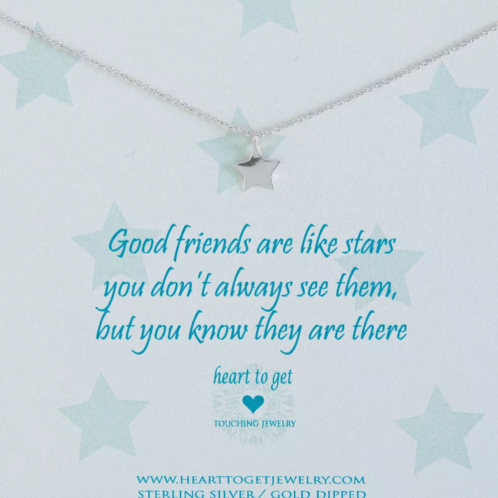 Heart to get N09STA11S Ketting Star Good friends are like..... zilver