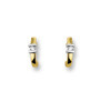 Huiscollectie 4200147 Bicolor gouden zirkonia oorbellen 1