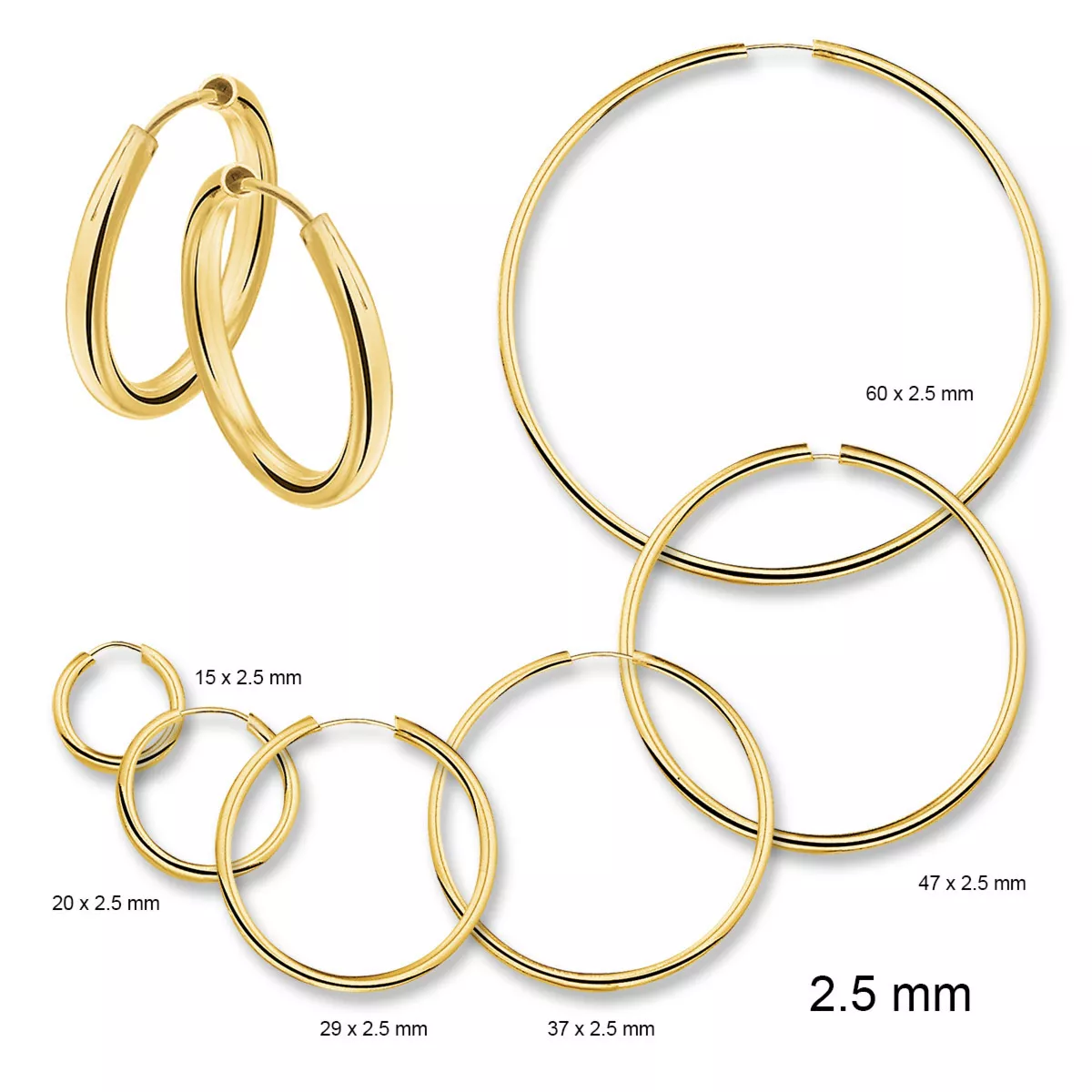 Gouden oorringen 2.5 mm rond