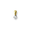 Huiscollectie 4205126 Bicolor gouden hanger met diamant 0.10 crt 1