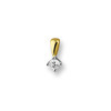 Huiscollectie 4205127 Bicolor gouden hanger met diamant 0.15 crt 1