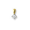Huiscollectie 4205128 Bicolor gouden hanger met diamant 0.25 crt 1