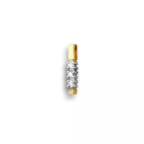 Bicolor gouden hanger met diamant 0.09 crt