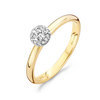 Blush 1131BZI Bicolor gouden ring met zirkonia 1
