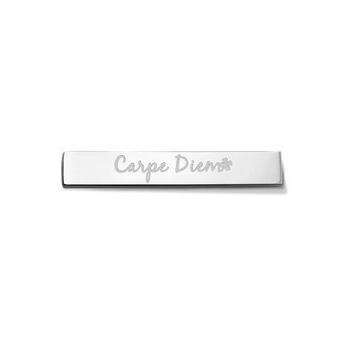 Take what you need TWYN-BAR-CAR-01 Twyn Bar Carpe Diem Stainless Steel Silver Toned