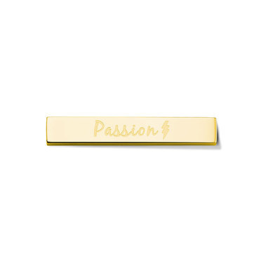 Take what you need TWYN-BAR-PAS-02 Twyn Bar Passion Stainless Steel Gold Toned