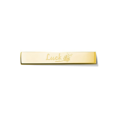 take-what-you-need-twyn-bar-luc-02-twyn-bar-luck-stainless-steel-gold-toned