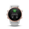 Garmin 010-01685-17 Fenix 5s Sapphire Smartwatch 2