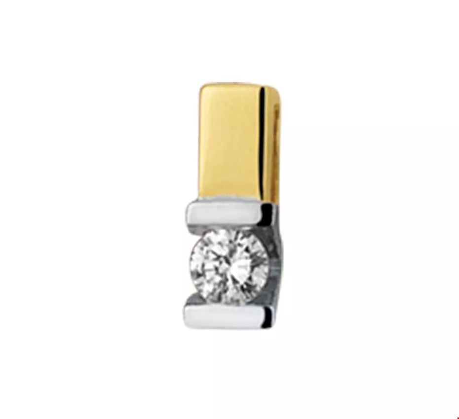 Huiscollectie Hanger Bicolor Goud Diamant 0.05ct H SI