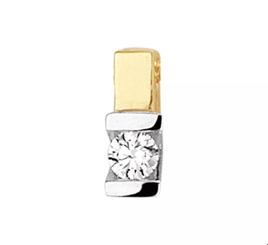 Huiscollectie Hanger Bicolor Goud Diamant 0.075ct H SI