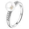 huiscollectie-1322307-ring 1