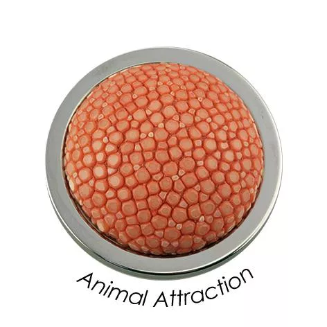 Quoins disk Animal Attraction rood small QMOT-02-RDS