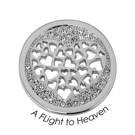 Quoins Disk Fligt to Heaven staal zilverkleurig Medium QMOA-41M-Z