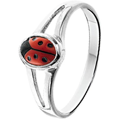 huiscollectie-1020647-ring
