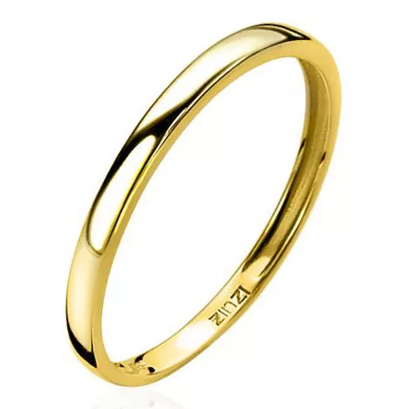 Zinzi Gold ZGR146 Ring glad geelgoud  
