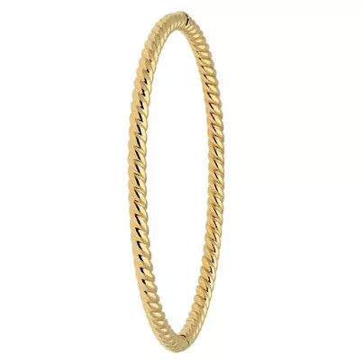 Gold Collection 204.2362.60 Armband Bangle Tors geelgoud 3,5 x 60 mm