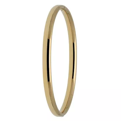 Gold Collection 204.2560.60 Armband Bangle Ovale buis geelgoud 5 x 60 mm