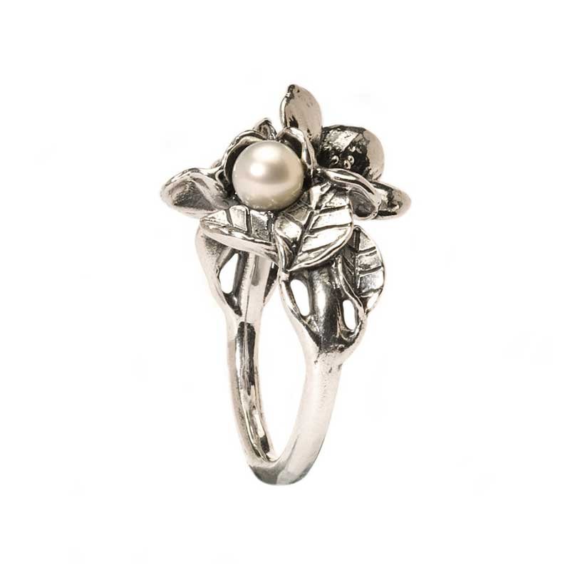 Trollbeads ringen