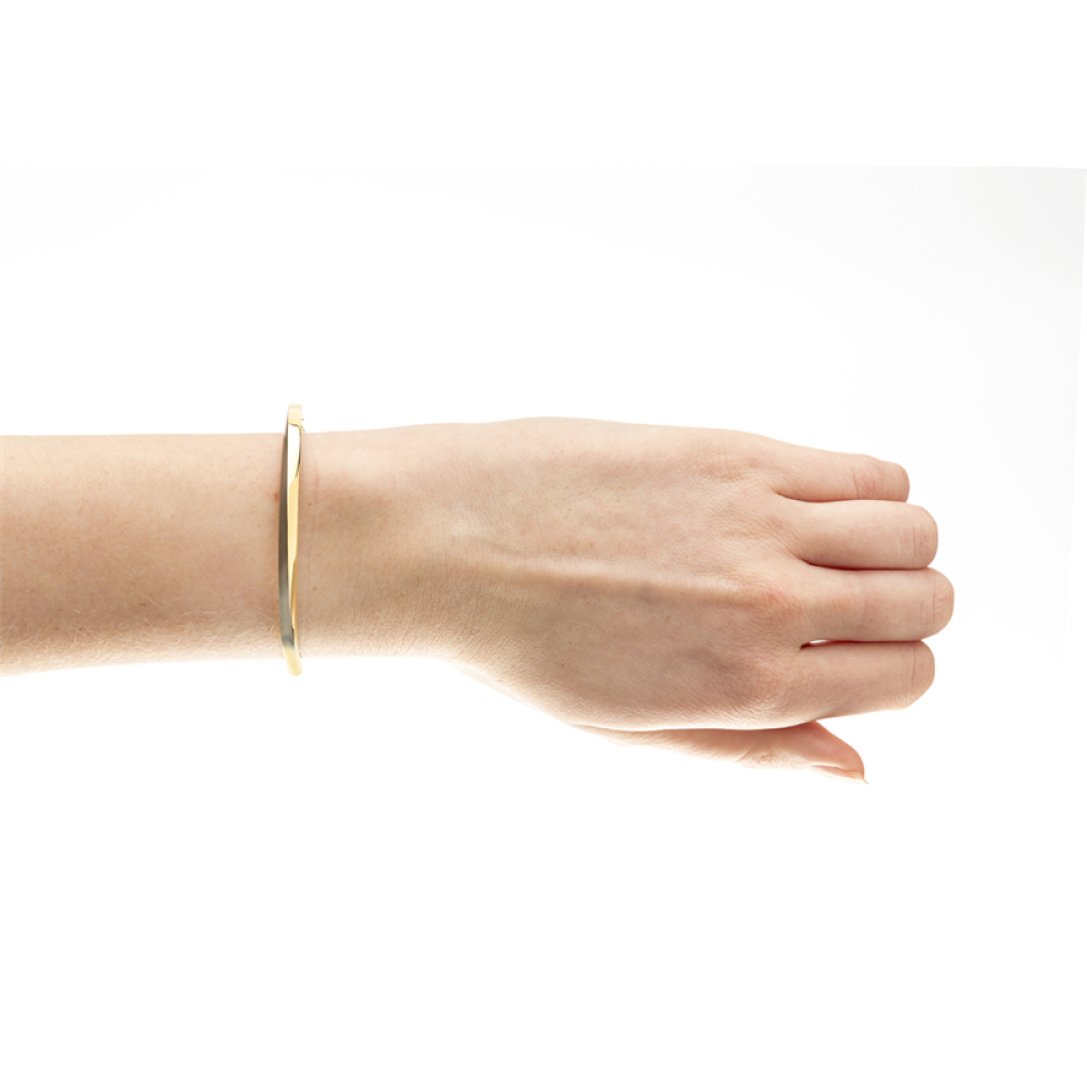 boccia-titanium-03011-02-bicolor-slavenarmband-met-glanzende-accenten