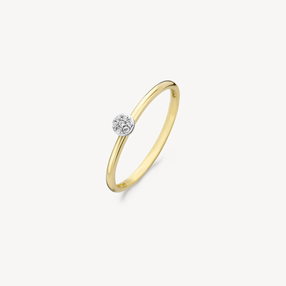 blush-1199yzi-ronde-ring-14k-goud-zirkonias-1-3-mm-breedte