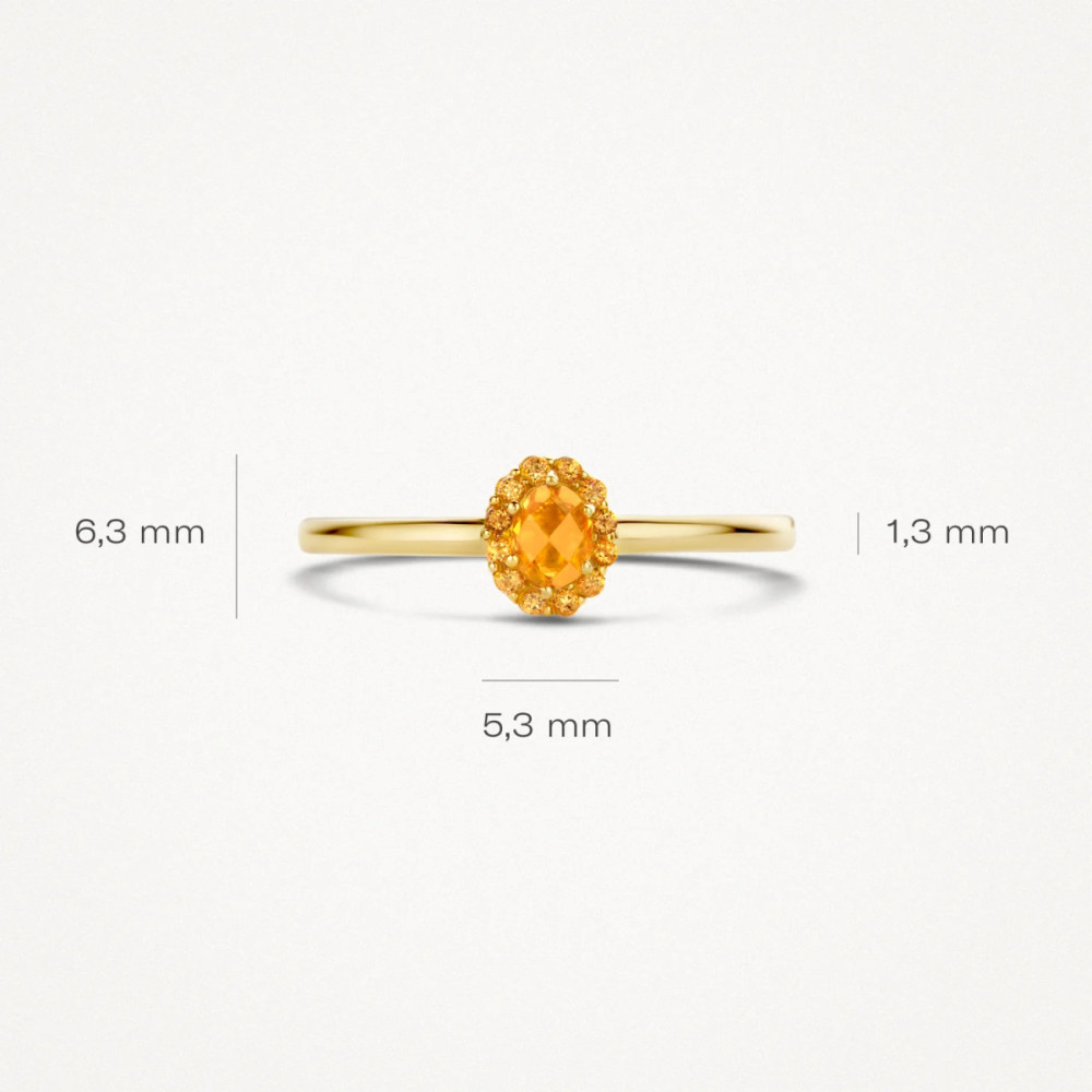 blush-1226yci-ovale-halo-ring-14-karaat-goud-oranje-citrien-1-3-mm-breedte