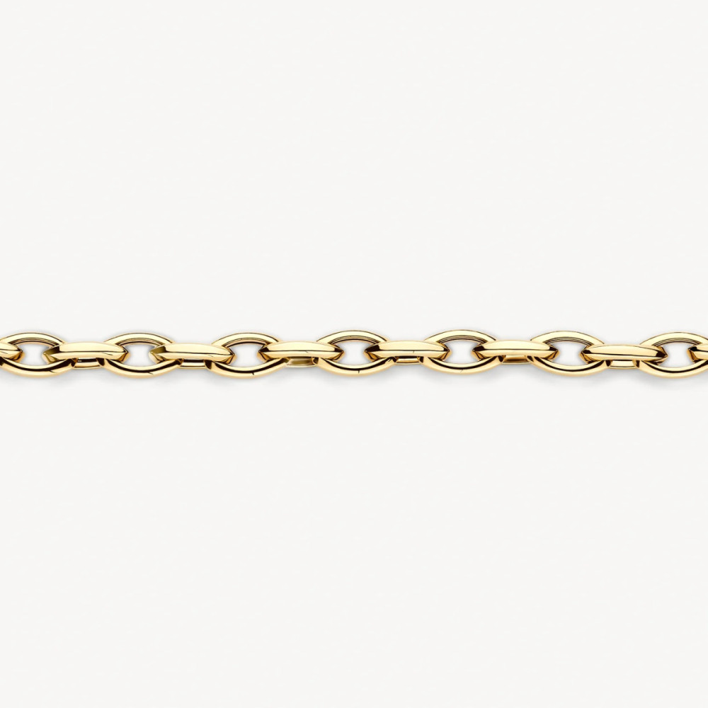 blush-2263ygo-schakelarmband-14-karaat-goud-jasseron-5-4-mm-breedte-lengte-18-5-cm
