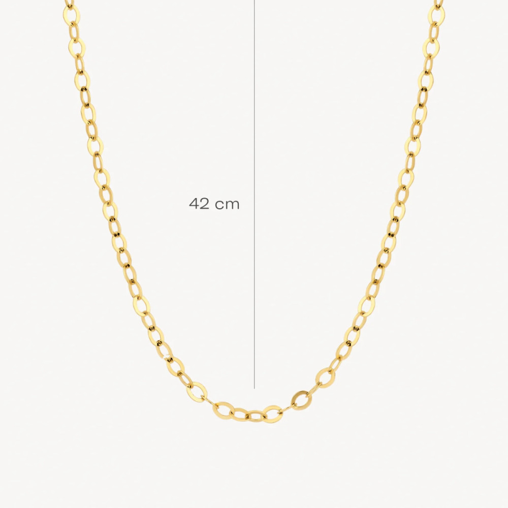 blush-3198ygo-schakelketting-goud-jasseron-schakels-glanzend-2-mm-breed-lengte-42-cm