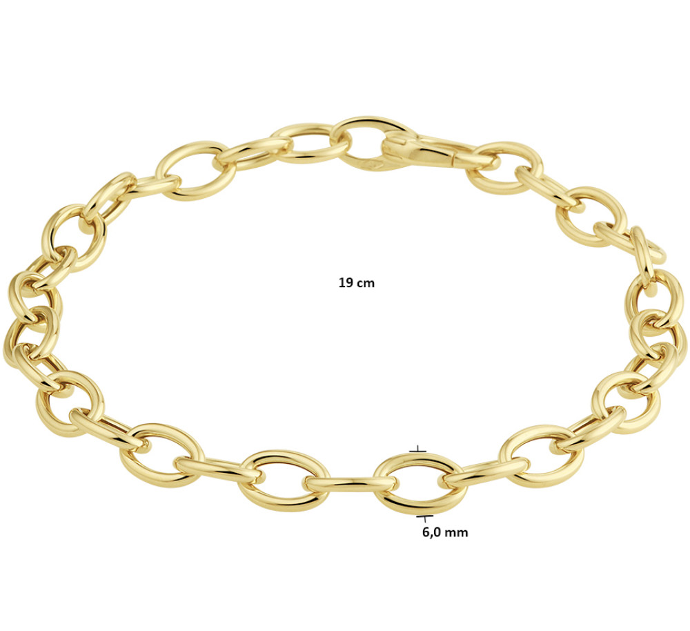 14-karaat-gouden-schakelarmband-met-ovale-ankerschakels-6-mm-breed-lengte-19-cm
