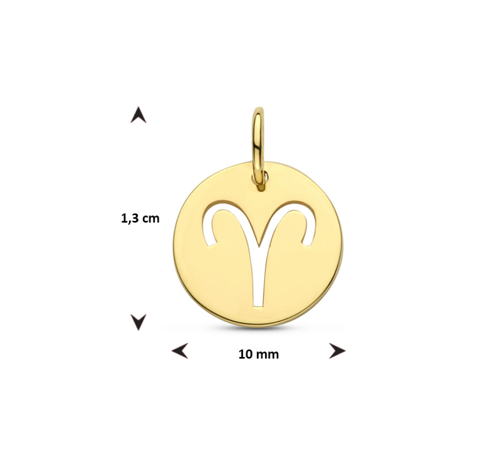 gouden-opengewerkte-sterrenbeeld-hanger-diameter-10-mm