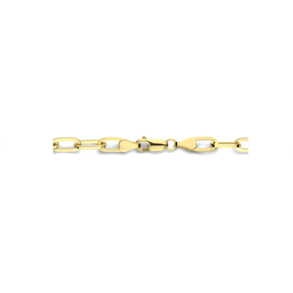 paperclip-5-mm-schakelcollier-goud-huiscollectie-lengte-45-cm
