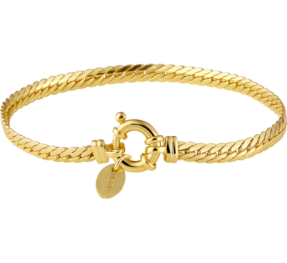 goudkleurige-vossenstaart-schakelarmband-met-opvallende-sluiting-en-hangertje