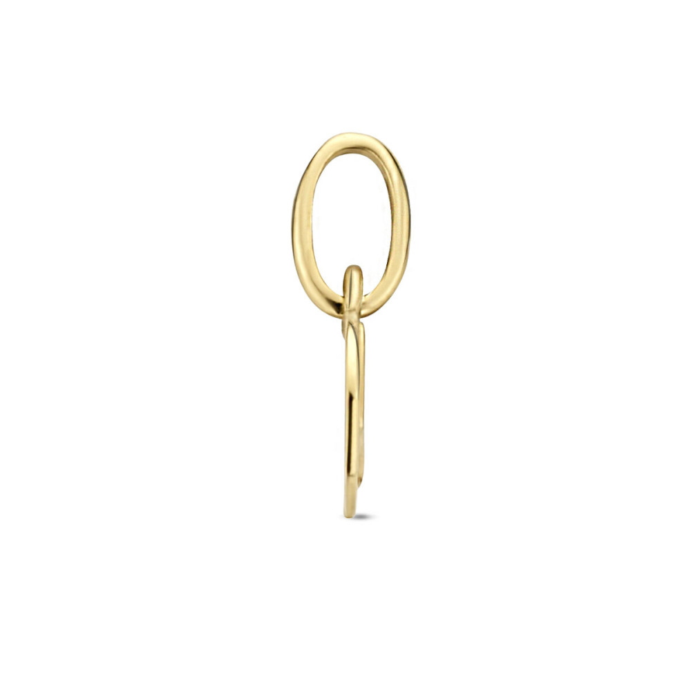 ronde-gouden-sterrenbeeld-hanger-6-mm-breed-hoogte-12-mm