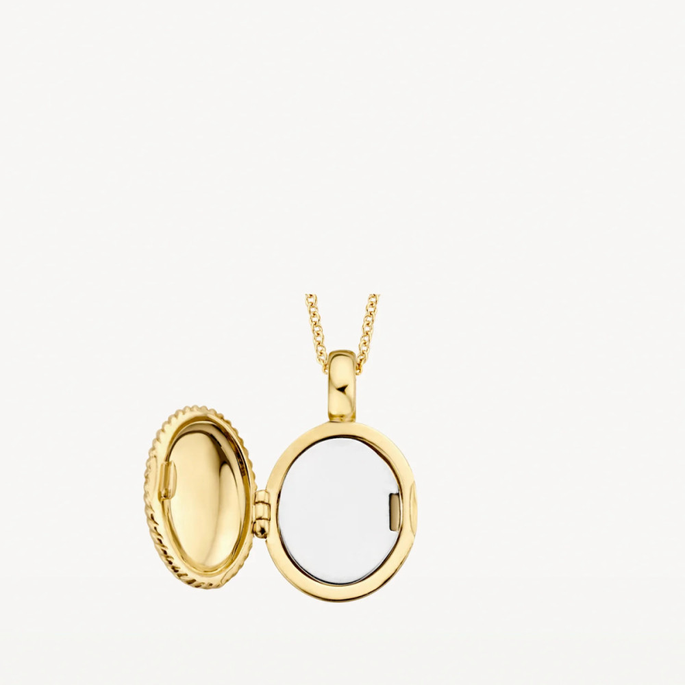 blush-6081ygo-ovaal-medaillon-14-karaat-goud-gedraaide-rand-11-5-mm-breed-x-17-mm-hoog