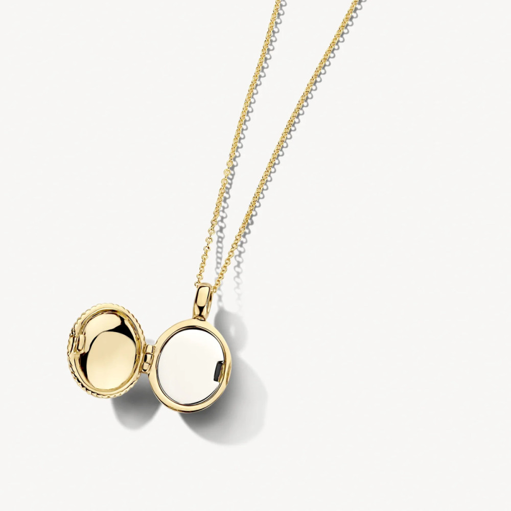 blush-6081ygo-ovaal-medaillon-14-karaat-goud-gedraaide-rand-11-5-mm-breed-x-17-mm-hoog