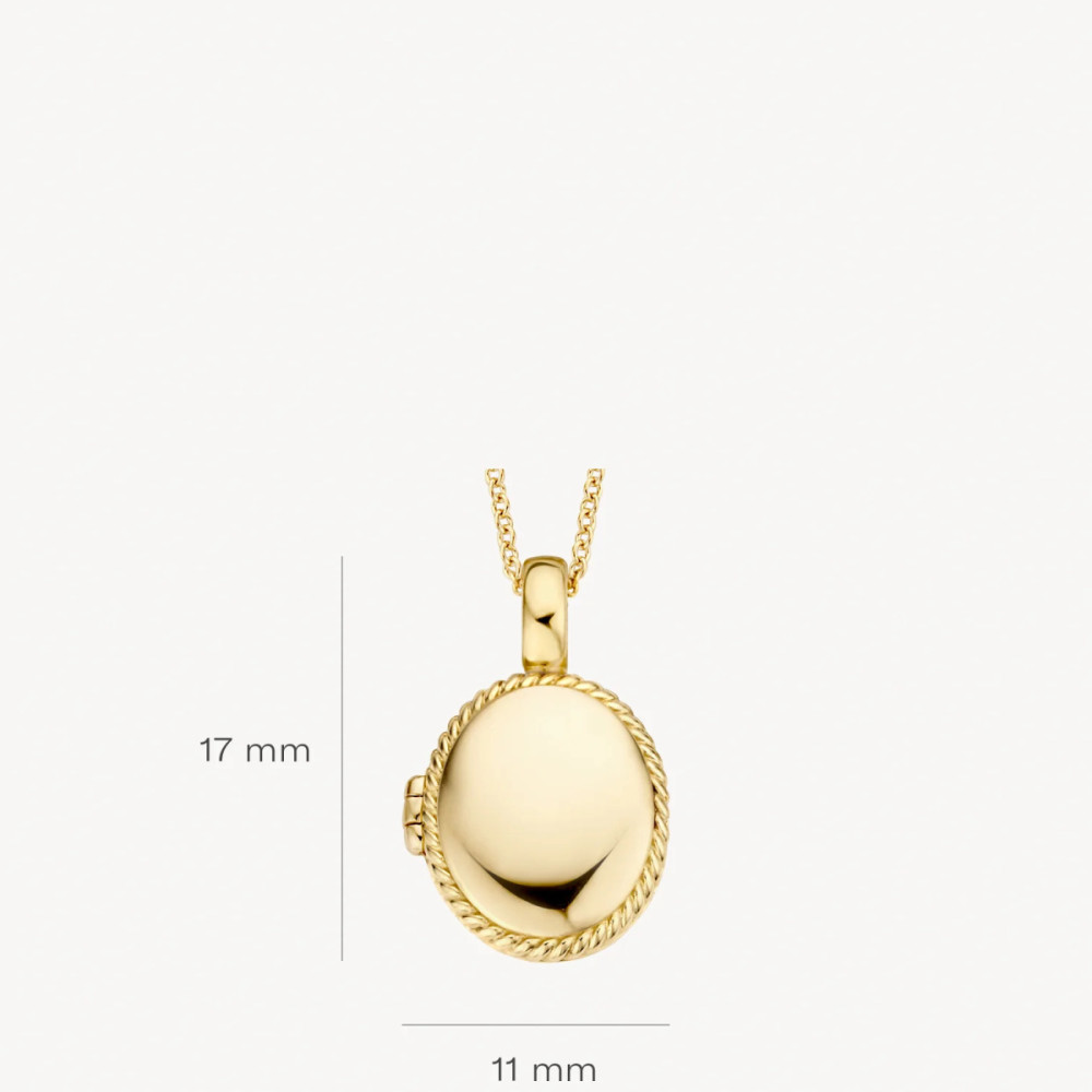 blush-6081ygo-ovaal-medaillon-14-karaat-goud-gedraaide-rand-11-5-mm-breed-x-17-mm-hoog