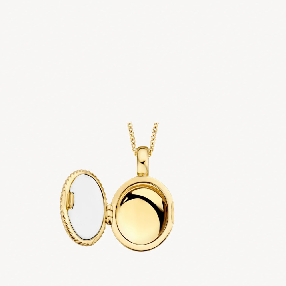blush-6081ygo-ovaal-medaillon-14-karaat-goud-gedraaide-rand-11-5-mm-breed-x-17-mm-hoog