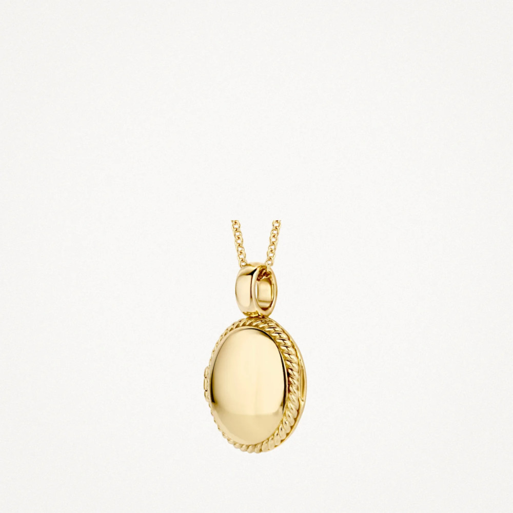 blush-6081ygo-ovaal-medaillon-14-karaat-goud-gedraaide-rand-11-5-mm-breed-x-17-mm-hoog
