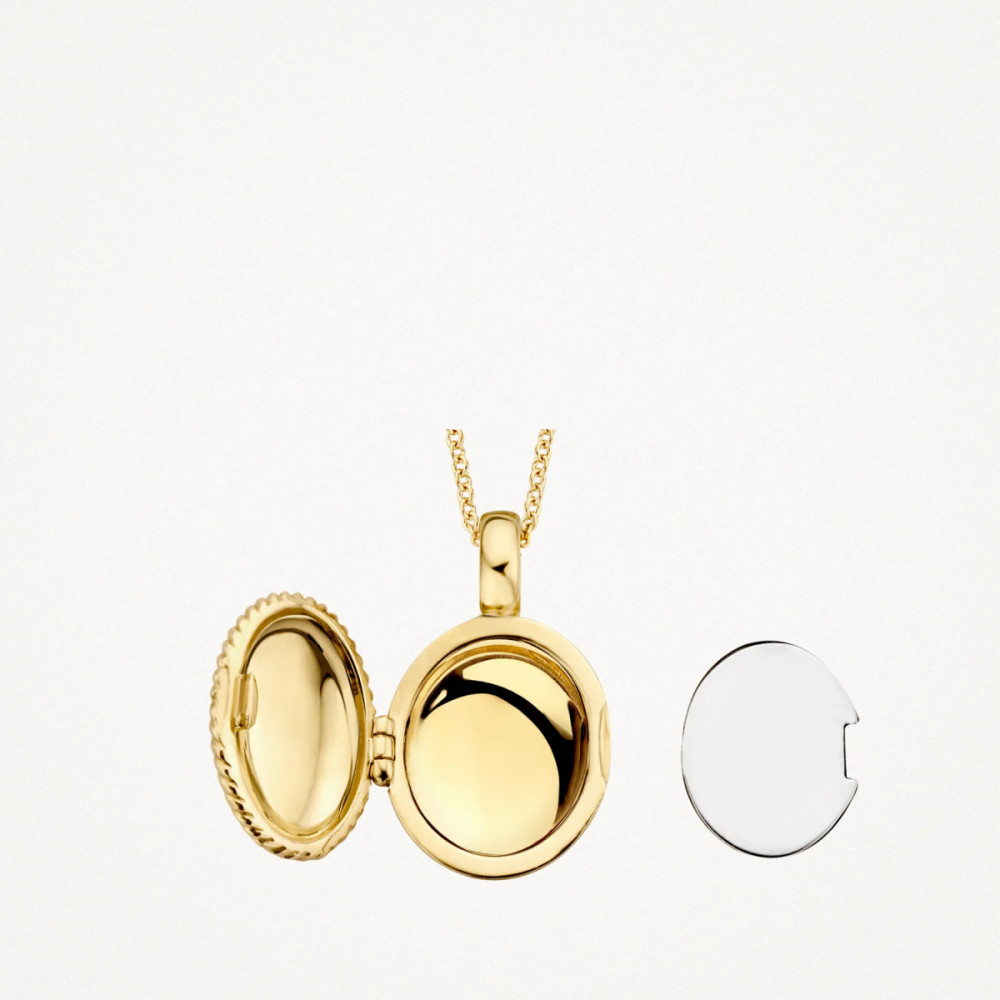 blush-6081ygo-ovaal-medaillon-14-karaat-goud-gedraaide-rand-11-5-mm-breed-x-17-mm-hoog